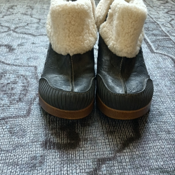 Jambu Holland - Picture 2 of 8